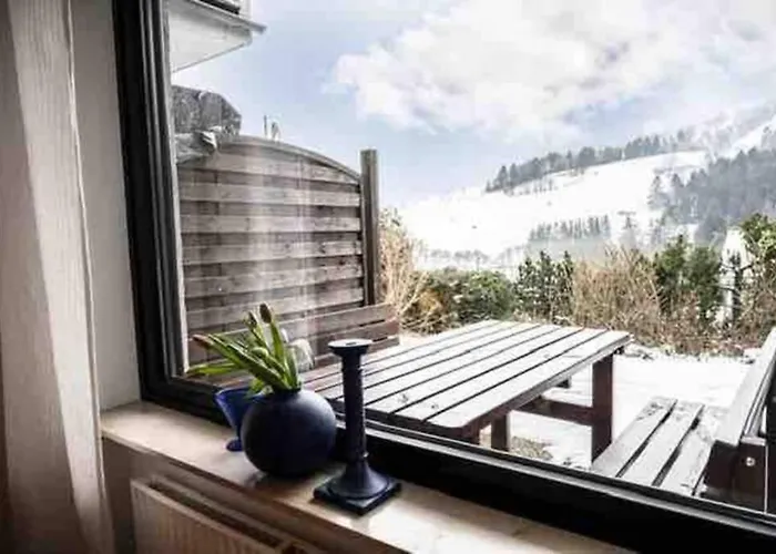 度假居 Feriehaus Maple Leaf 维林根